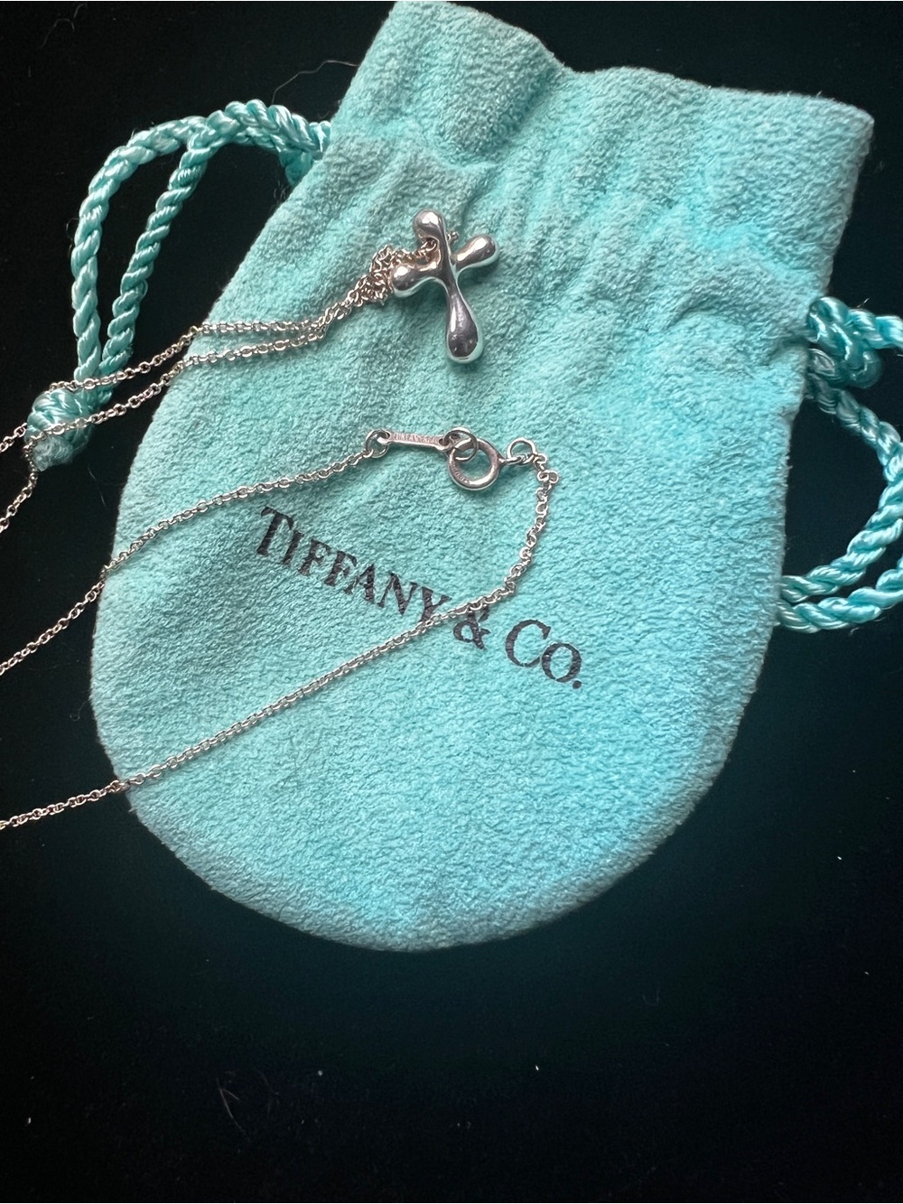 Tiffany & Co. Elsa Peretti necklace with Blue Pouch